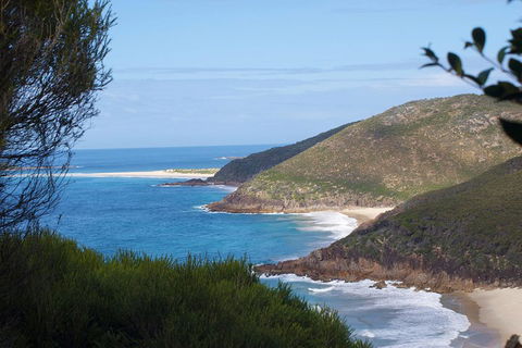 Private Port Stephens Day Trip From Sydney Including Dolphin Cruise - Tourism Brisbane 0