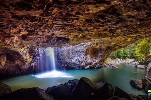 Full-day Springbrook National Park Tour From The Gold Coast - Tourism Brisbane 3