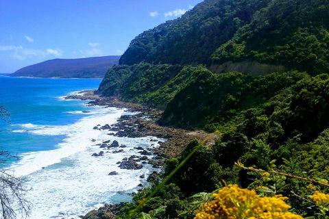 Great Ocean Road Adventure - Private Tour - Reverse - Tourism Brisbane 3
