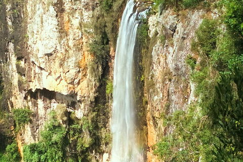 Natural Arch, Rainforest & Volcano Canyon - Private Half Day Tour - Tourism Brisbane 2