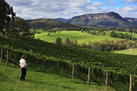 Private Blue Mountains And Winery Day-Trip From Sydney - Brisbane Tourism 2