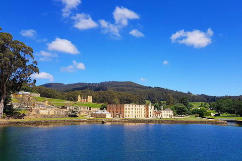Tasmania 4 Day East Coast + Launceston - Tourism Brisbane 0