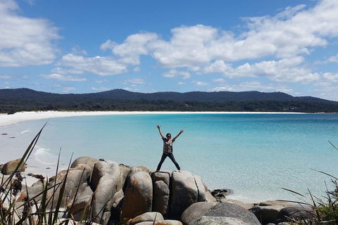 Tasmania 4 Day East Coast + Launceston - Tourism Brisbane 1