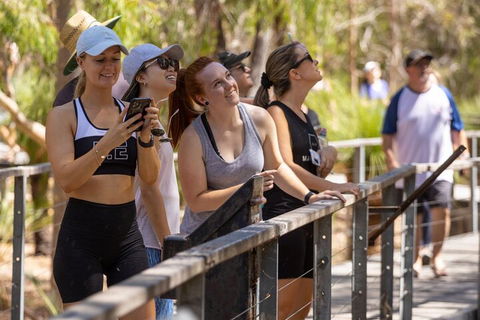 Cabaret Cave Yoga & Mindful Hike - Tourism Brisbane 0