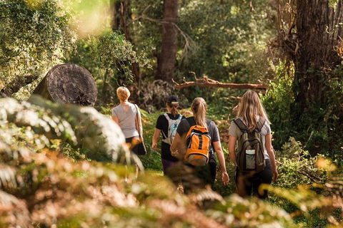 Cabaret Cave Yoga & Mindful Hike - Tourism Brisbane 2