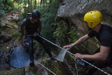Blue Mountains Empress Canyon Adventure From Wentworth Falls - Tourism Brisbane 2