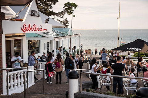 Phillip Island And French Island Wildlife Expedition - Tourism Brisbane 0
