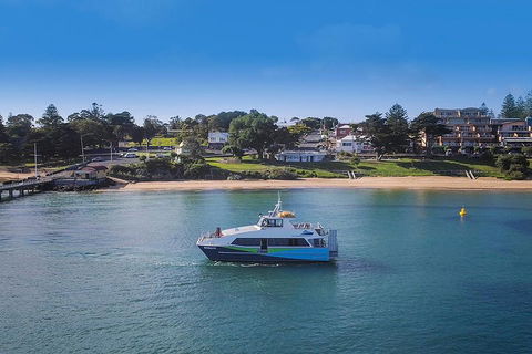 Phillip Island And French Island Wildlife Expedition - Tourism Brisbane 2
