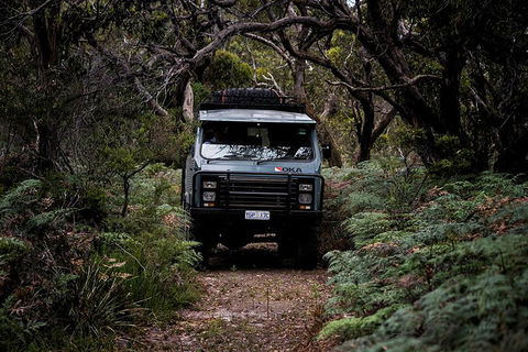 Phillip Island And French Island Wildlife Expedition - Tourism Brisbane 4