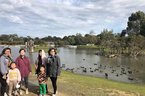 Phillip Island Penguins Private Tour - Tourism Brisbane 1