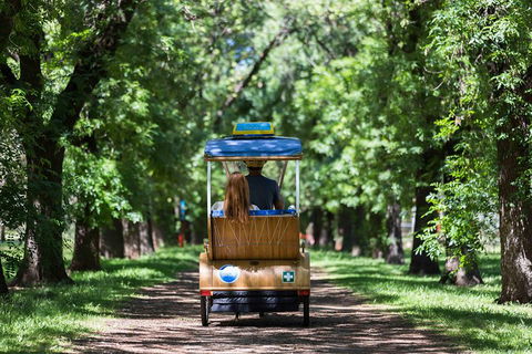 Adelaide 90-Minute Pedicab Tour: Scenic Green & River Experience - Tourism Brisbane 2