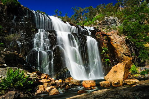 4 Day Group Camping Tour - Visit Grampians, Great Ocean Road And 12 Apostles - Tourism Brisbane 5