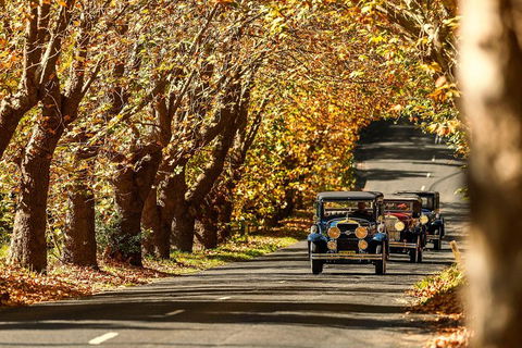 Blue Mountains Vintage Cadillac Tour With Local Guide - Tourism Brisbane 1