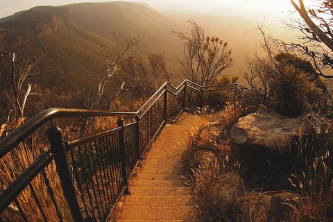 Blue Mountains Vintage Cadillac Tour With Local Guide - Tourism Brisbane 3