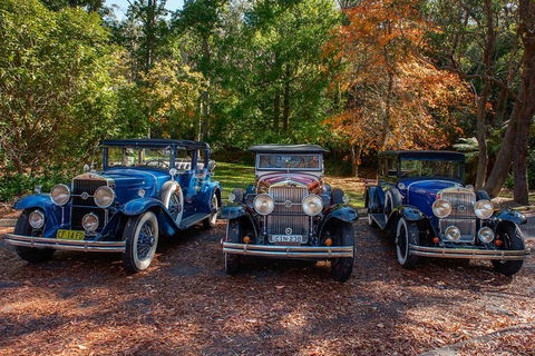 Blue Mountains Vintage Cadillac Tour With Local Guide - Tourism Brisbane 4