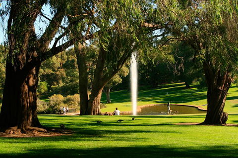 Highlights Of Perth Photographic Tour - Tourism Brisbane 4