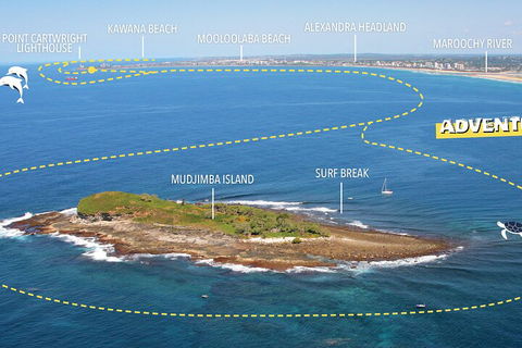 1.5HR Mudjimba Island Wildlife Safari - Tourism Brisbane 1
