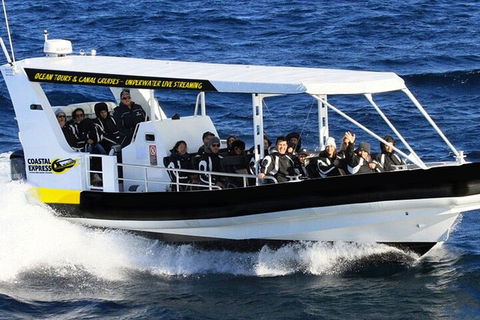 1.5HR Mudjimba Island Wildlife Safari - Tourism Brisbane 2