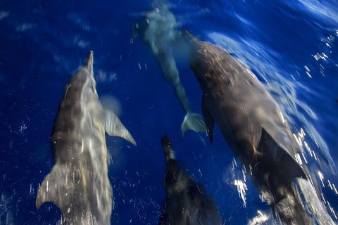1.5HR Mudjimba Island Wildlife Safari - Tourism Brisbane 3