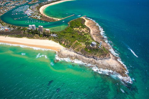 1.5HR Mudjimba Island Wildlife Safari - Tourism Brisbane 5