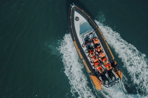 Adventure Rafting - Tourism Brisbane 1