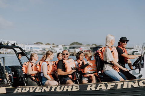 Adventure Whale Watching Tour Mooloolaba - Tourism Brisbane 4