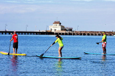 Private Stand-Up Paddle Board Lesson At St Kilda - Tourism Brisbane 1
