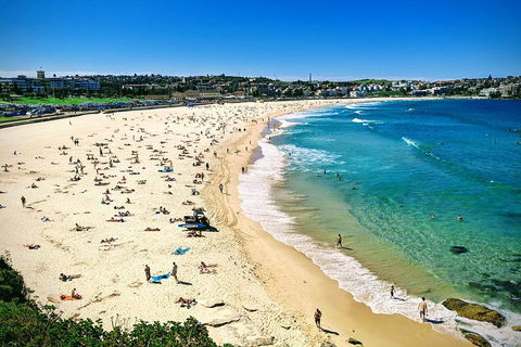 Sydney & Bondi Beach Plus Local Secrets With 'Personalised Sydney Tours' - Tourism Brisbane 5