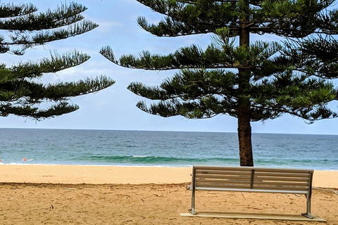 Manly & Sydney's Northern Beaches With 'Personalised Sydney Tours' - Tourism Brisbane 0