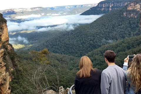 Blue Mountains Private Tour - Wild Kangaroos, Waterfalls And The Three Sisters - Tourism Brisbane 3