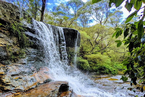 Blue Mountains Private Tour - Wild Kangaroos, Waterfalls And The Three Sisters - Tourism Brisbane 5