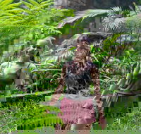 Full-Day Guided Hinterland Adventure Tour in Queensland - Tourism Brisbane