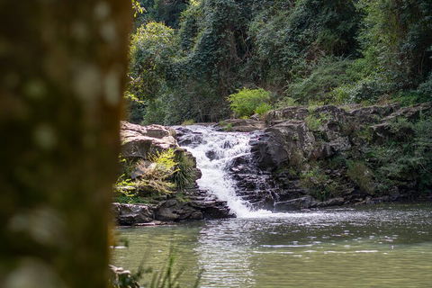 Full-Day Guided Hinterland Adventure Tour In Queensland - Tourism Brisbane 1