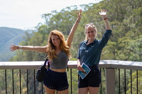 Full-Day Guided Hinterland Adventure Tour In Queensland - Tourism Brisbane 3