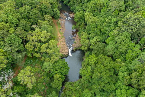 Full-Day Guided Hinterland Adventure Tour In Queensland - Tourism Brisbane 4