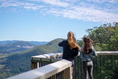 Full-Day Guided Hinterland Adventure Tour In Queensland - Tourism Brisbane 5