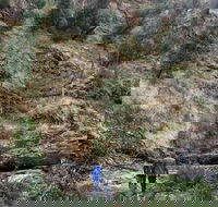 Grampians - Private Tour - Tourism Brisbane