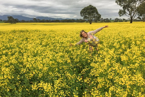 Grampians - Private Tour - Tourism Brisbane 3