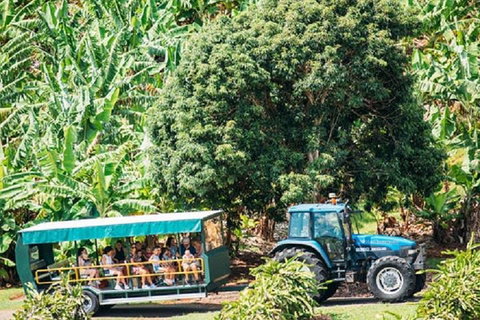 Tropical Fruit World With Wildlife Boat Cruise From Gold Coast - Brisbane Tourism 1