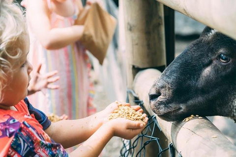 Tropical Fruit World With Wildlife Boat Cruise From Gold Coast - Brisbane Tourism 5