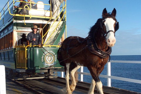 Full-Day Tour In South Australia Highlights - Tourism Brisbane 1