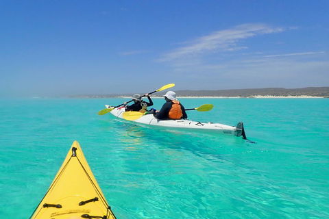 Lagoon Explorer - Ningaloo Reef Full-Day Kayaking And Snorkeling Adventure - Tourism Brisbane 0