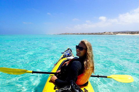 Lagoon Explorer - Ningaloo Reef Full-Day Kayaking And Snorkeling Adventure - Tourism Brisbane 1