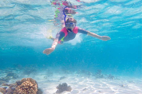 Lagoon Explorer - Ningaloo Reef Full-Day Kayaking And Snorkeling Adventure - Tourism Brisbane 5