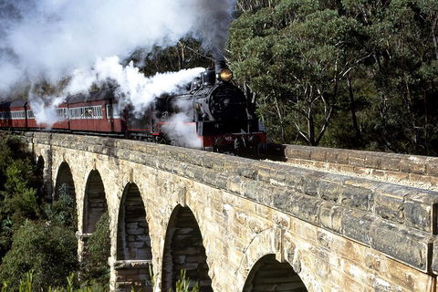 [Private Tour] Healesville Sanctuary Wildlife & Puffing Billy Steam Train - Tourism Brisbane 2