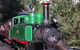 [Private Tour] Healesville Sanctuary Wildlife & Puffing Billy Steam Train - thumb 5