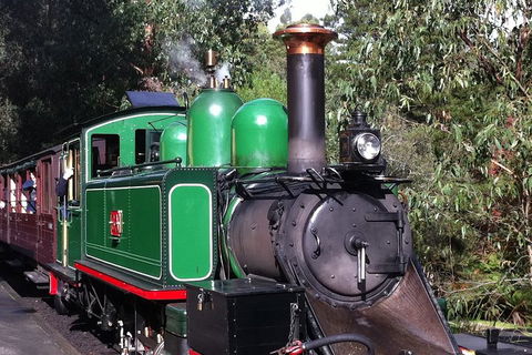 [Private Tour] Healesville Sanctuary Wildlife & Puffing Billy Steam Train - Tourism Brisbane 5