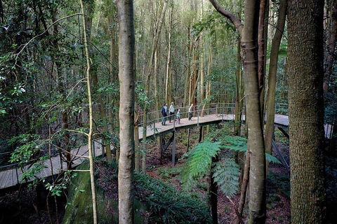Blue Mountains PRIVATE Day Tour - Tourism Brisbane 5