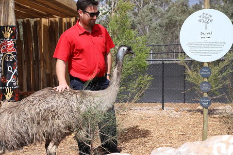 Blue Mountains Nature And Wildlife Day Tour From Sydney - Tourism Brisbane 5
