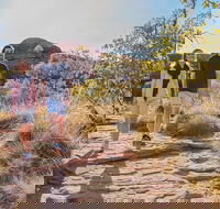 Kings Canyon Day Trip from Ayers Rock Uluru - Tourism Brisbane